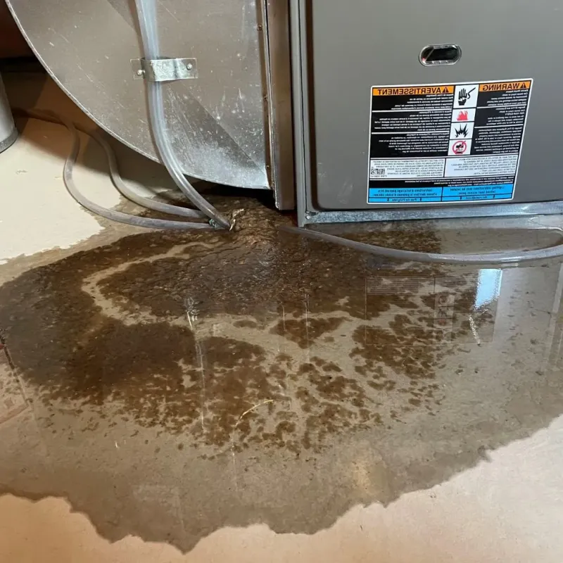 Pipe Burst and Leak Restoration in Newport, KY