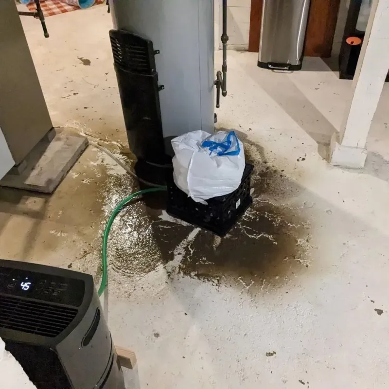 Sewage Backup Cleanup Service in Newport, KY